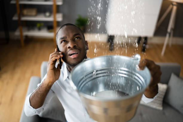 Best Professional water damage repair  in Lake Montezuma, AZ