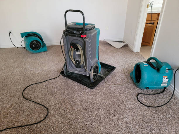 Best Water damage restoration near me  in Lake Montezuma, AZ