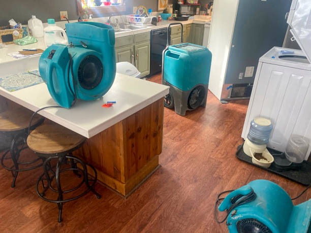 Best Ceiling water damage repair  in Lake Montezuma, AZ