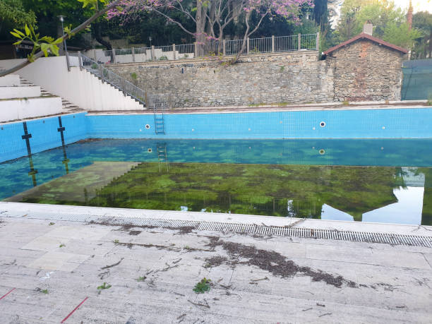 Best Flood restoration services  in Lake Montezuma, AZ