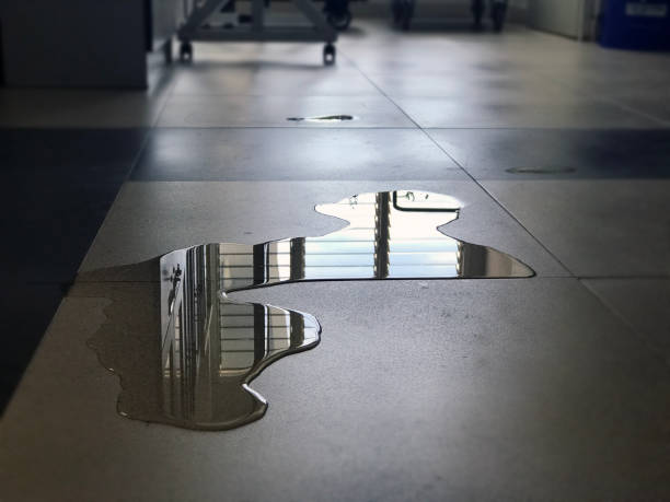 Best 24-hour water damage restoration  in Lake Montezuma, AZ
