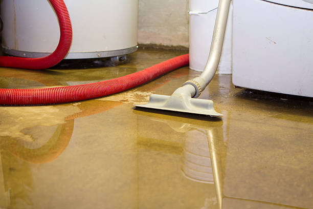 Best Flooded house restoration  in Lake Montezuma, AZ