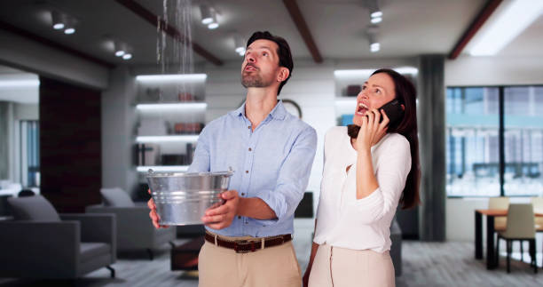 Best Water damage cleanup near me  in Lake Montezuma, AZ
