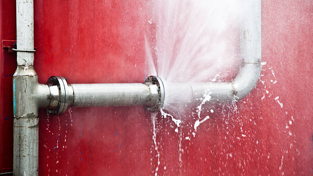Best Water damage cleanup near me  in Lake Montezuma, AZ