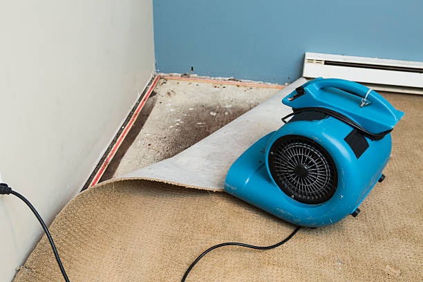 Lake Montezuma, AZ Water damage restoration Company